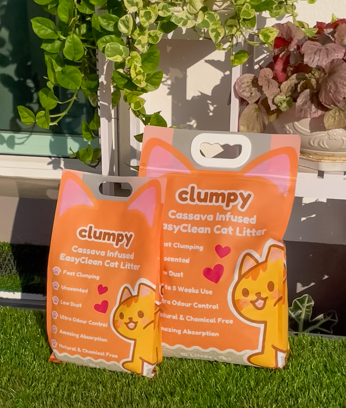 Clumpy Cassava Infused EasyClean Cat Litter