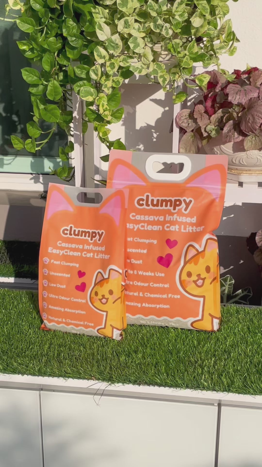 10L 7KG Clumpy EasyClean Cassava Cat Litter